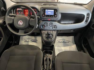 Fiat Panda 1.0 FireFly S&S Hybrid Bianco usata Leini