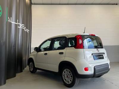 Fiat Panda 1.0 FireFly S&S Hybrid Bianco usata Leini