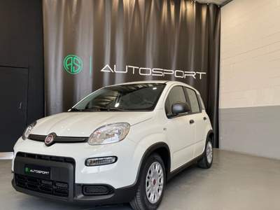 Fiat Panda 1.0 FireFly S&S Hybrid Bianco usata Leini
