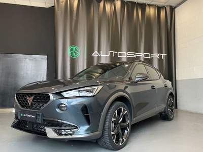 Cupra Formentor 2.0 TDI Grigio usata Leini