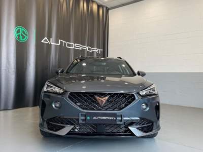 Cupra Formentor 2.0 TDI Grigio usata Leini