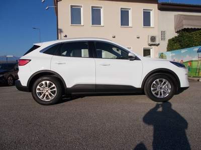 Ford Kuga 2.0 EcoBlue Hybrid 150 CV 2WD Titanium Business Bianco usata SAN VENDEMIANO