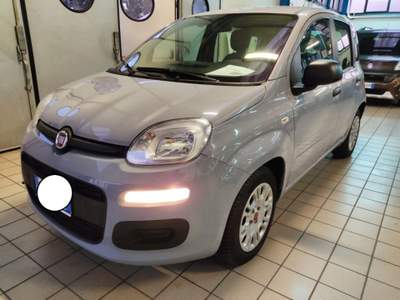 Fiat Panda 1.0 FireFly S&S Hybrid Grigio usata Cassino