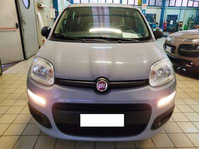 Fiat Panda 1.0 FireFly S&S Hybrid Grigio usata Cassino