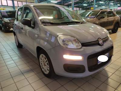 Fiat Panda 1.0 FireFly S&S Hybrid Grigio usata Cassino