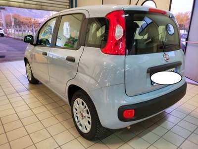 Fiat Panda 1.0 FireFly S&S Hybrid Grigio usata Cassino