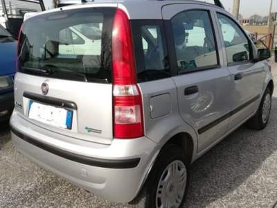 Fiat Panda 1.2 Dynamic Natural Power Mamy Grigio usata Ferrara