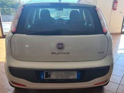 Fiat Punto 1.3 mjt Dynamic s&s 95cv 5p Bianco usata Siderno