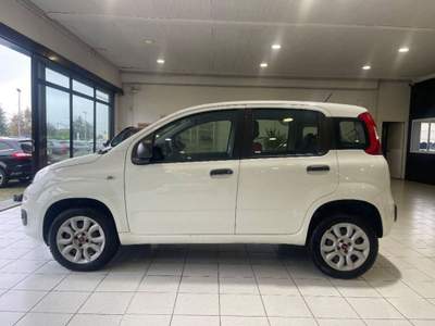 Fiat Panda 0.9 t.air t. natural power Lounge 80cv Bianco usata Alessandria