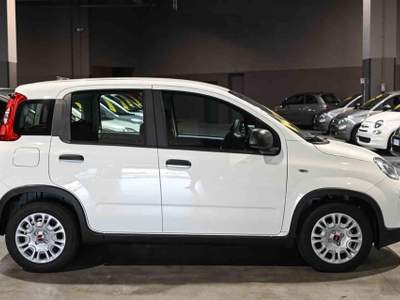 Fiat Panda Hybrid 1.0 70cv Bianco usata Pianezza
