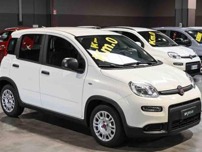 Fiat Panda Hybrid 1.0 70cv Bianco usata Pianezza