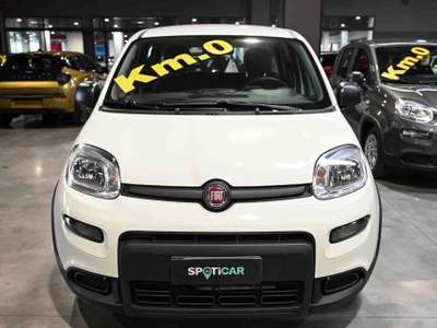 Fiat Panda Hybrid 1.0 70cv Bianco usata Pianezza