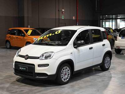 Fiat Panda Hybrid 1.0 70cv Bianco usata Pianezza