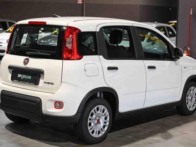 Fiat Panda Hybrid 1.0 70cv Bianco usata Pianezza