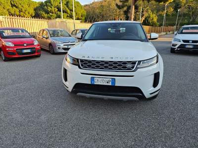 Land Rover Range Rover Evoque 2.0D I4 150CV AWD Business Edition Bianco usata Spadafora