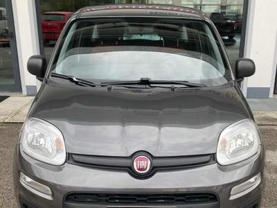 Fiat Panda 1.2 Easy NEO PATENTATI! Grigio usata LAMON