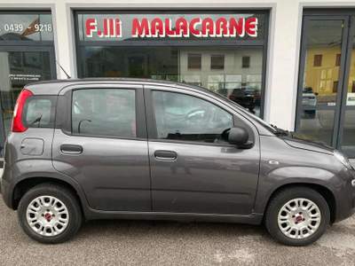 Fiat Panda 1.2 Easy NEO PATENTATI! Grigio usata LAMON