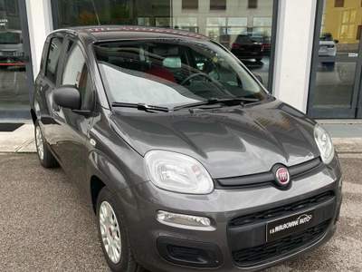 Fiat Panda 1.2 Easy NEO PATENTATI! Grigio usata LAMON