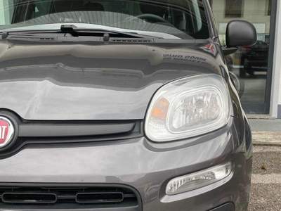 Fiat Panda 1.2 Easy NEO PATENTATI! Grigio usata LAMON