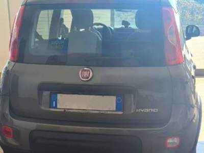 Fiat Panda 1.0 firefly hybrid City Life s&s 70cv usata Siderno