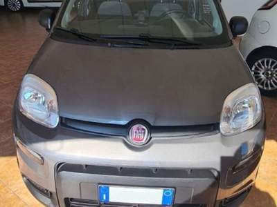 Fiat Panda 1.0 firefly hybrid City Life s&s 70cv usata Siderno