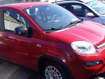 Fiat Panda 1.0 FireFly S&S Hybrid PRONTA CONSEGNA usata Castelnuovo Rangone