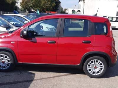 Fiat Panda 1.0 FireFly S&S Hybrid PRONTA CONSEGNA usata Castelnuovo Rangone
