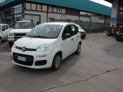 Fiat Panda 1.2 Easy Bianco usata Castelnuovo Rangone