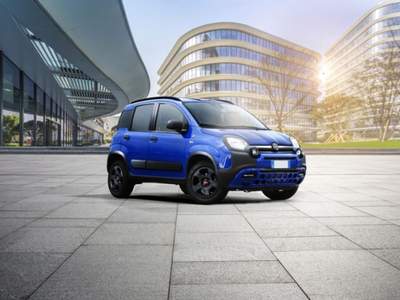 Fiat Panda 1.2 Easy Grigio usata Denno