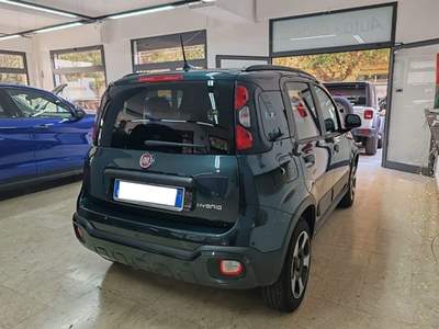 Fiat Panda 1.0 FireFly S&S Hybrid Verde usata Palermo