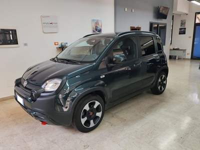 Fiat Panda 1.0 FireFly S&S Hybrid Verde usata Palermo