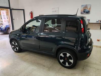 Fiat Panda 1.0 FireFly S&S Hybrid Verde usata Palermo
