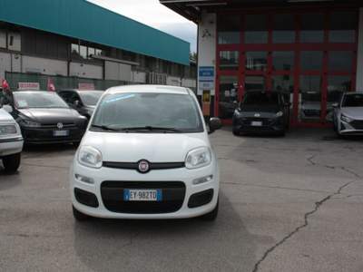 Fiat Panda 1.2 Easy GPL Bianco usata Castelnuovo Rangone