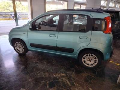 Fiat Panda 1.2 Lounge Verde usata Genova