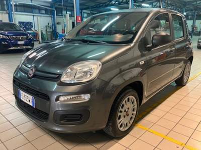 Fiat Panda 1.2 EasyPower Easy Grigio usata Cassino