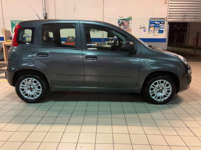 Fiat Panda 1.2 EasyPower Easy Grigio usata Cassino