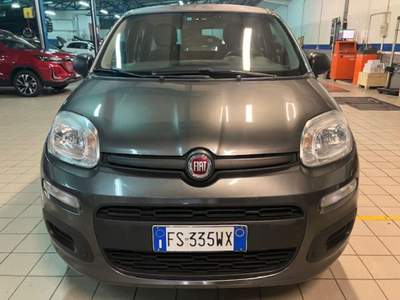 Fiat Panda 1.2 EasyPower Easy Grigio usata Cassino