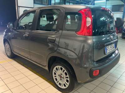 Fiat Panda 1.2 EasyPower Easy Grigio usata Cassino