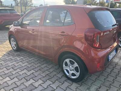 Kia Picanto 1.0 12V 5 porte Urban Lilla usata Cassino