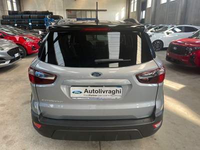 Ford EcoSport 1.0 EcoBoost 125 CV Start&Stop Active Grigio usata Lodi