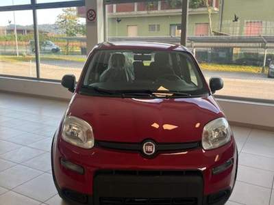Fiat Panda 1.0 FireFly S&S Hybrid Rosso usata Cormons