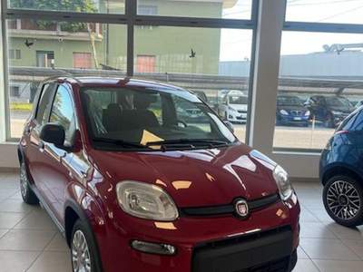Fiat Panda 1.0 FireFly S&S Hybrid Rosso usata Cormons