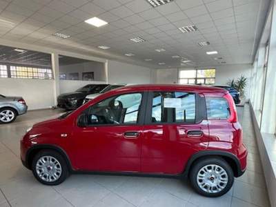 Fiat Panda 1.0 FireFly S&S Hybrid Rosso usata Cormons
