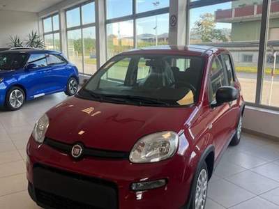 Fiat Panda 1.0 FireFly S&S Hybrid Rosso usata Cormons