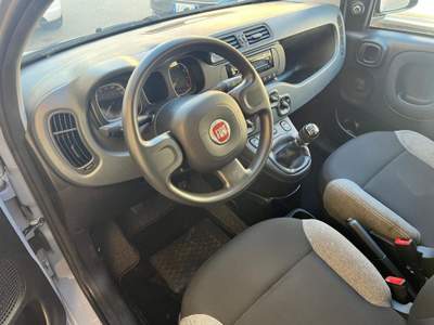 Fiat Panda 1.0 FireFly S&S Hybrid Grigio usata Alcamo