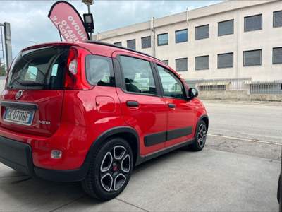 Fiat Panda 1.0 FireFly S&S Hybrid City Life Rosso usata Montesilvano