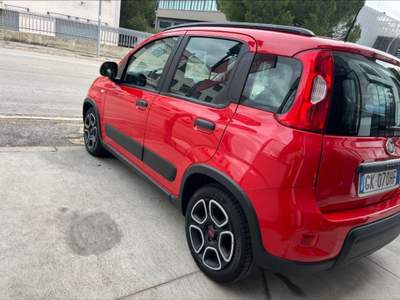 Fiat Panda 1.0 FireFly S&S Hybrid City Life Rosso usata Montesilvano