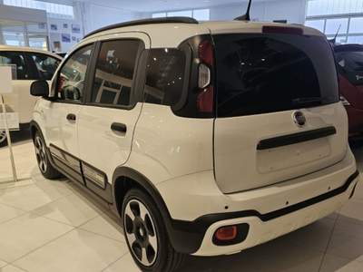 Fiat Panda 1.0 FireFly S&S Hybrid Pandina Bianco usata Mondolfo