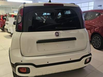 Fiat Panda 1.0 FireFly S&S Hybrid Pandina Bianco usata Mondolfo