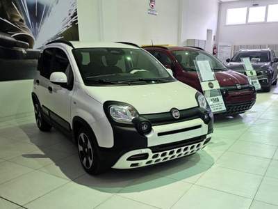 Fiat Panda 1.0 FireFly S&S Hybrid Pandina Bianco usata Mondolfo